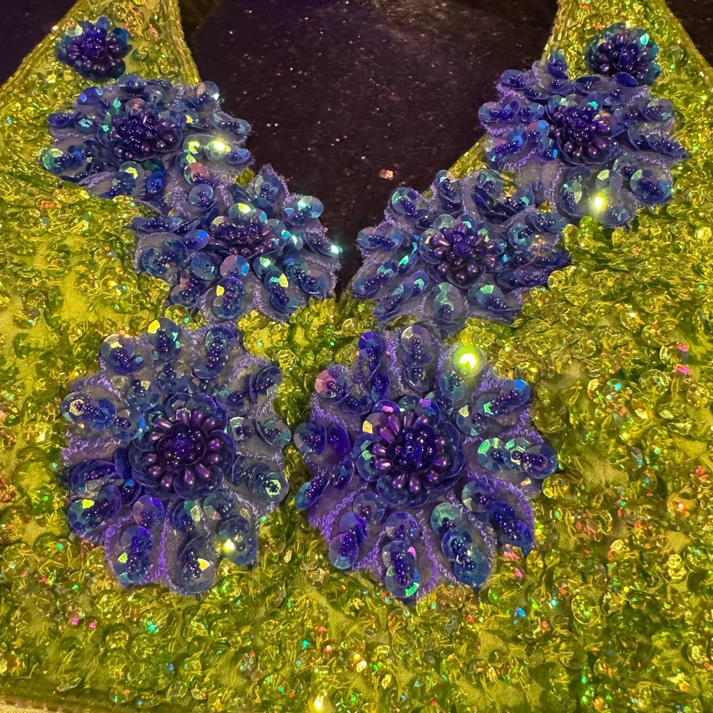 Silk Glamour Green and Blue Adult M Dance Costume - Picture 2 of 8